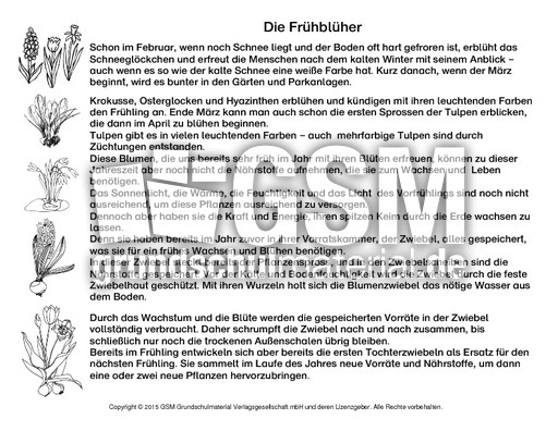 Abschreibtext-Frühblüher-SW.pdf
